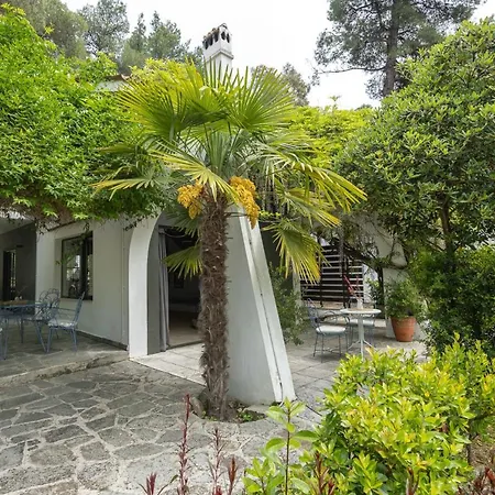 Hébergement de vacances Rose Willow, #feelslikehome *