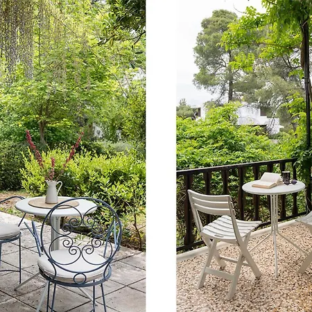 Rose Willow, #feelslikehome *